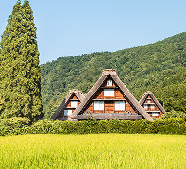 白川鄉合掌村